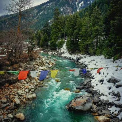 Himachal Trekking & Camping Tour (5 Days)